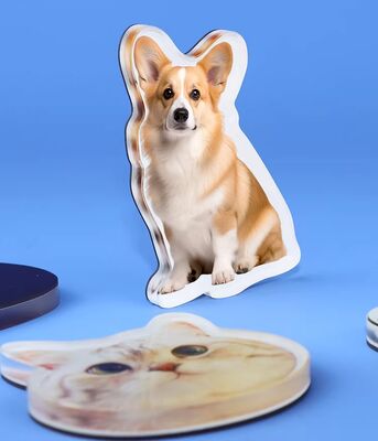 ซื้อ แม่เหล็กติดตู้เย็นอะคริลิคดีไซน์สัตว์เลี้ยงผลิตตามสั่ง HAPPY GIFT สติกเกอร์พลาสติกโฮโลแกรมอนิเมะน่ารักปรับแต่งได้ online manufacture