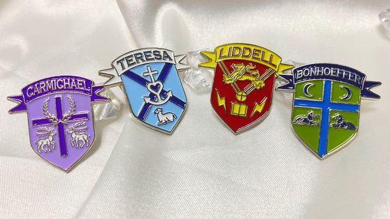 2d 3d Die Cast Sports Custom Lapel Pins Anime Soft Hard การ์ตูน คาร์ตูน ปิ้นปิ้น